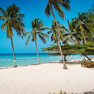 Отель Coconut Court, Крайст-Черч