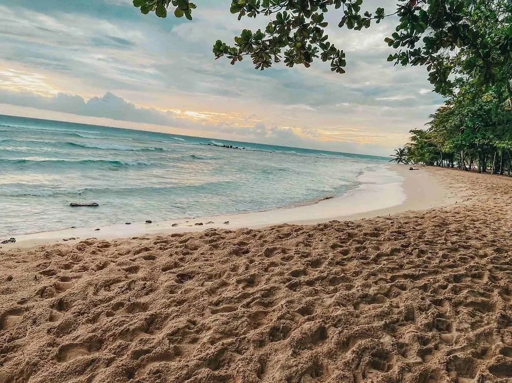 Savannah Beach Бриджтаун Отель